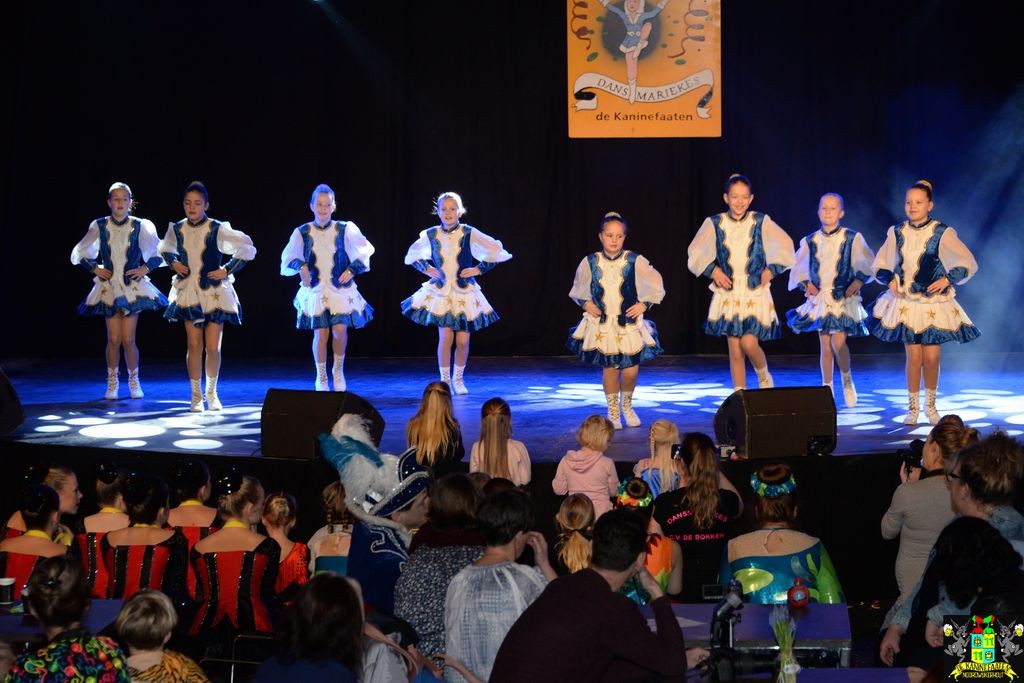 ../Images/Dansmarieke festival 2018 071.jpg